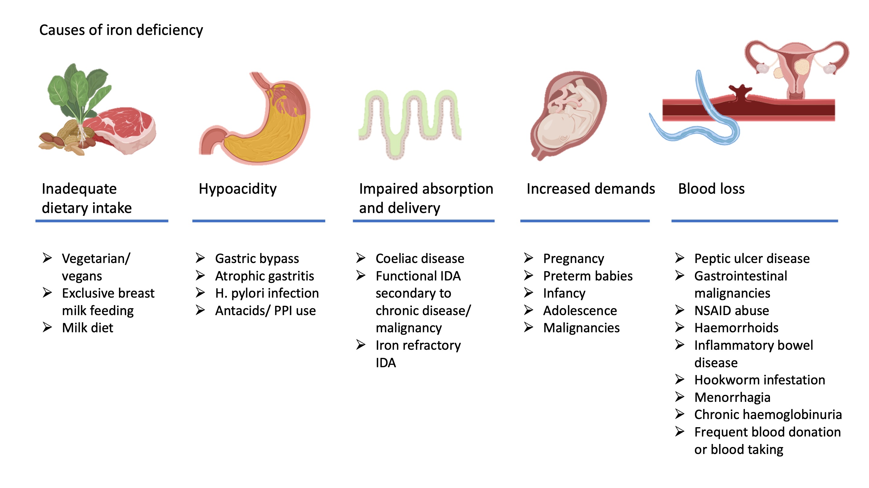 Iron Deficiency Anaemia